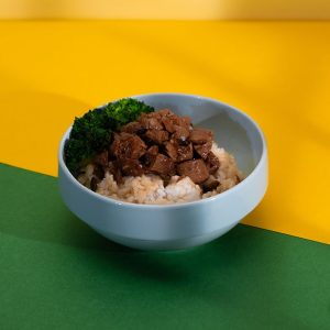 素燥飯（大）